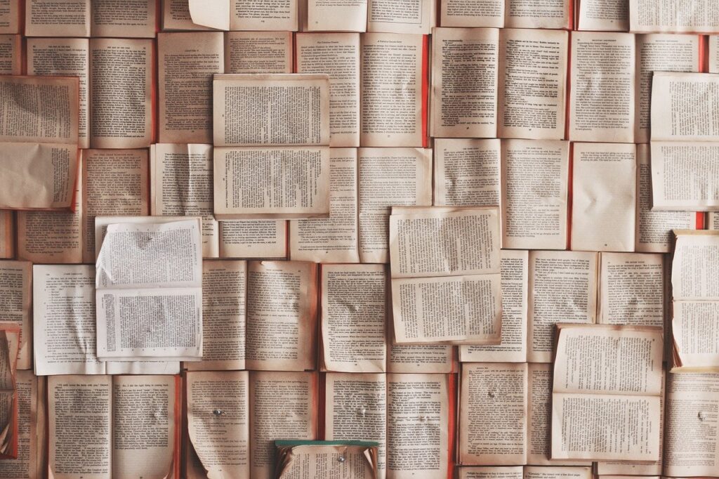 literatura enem